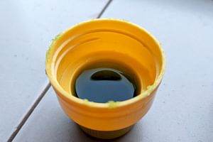 What is the best type of fertilizer for houseplants?
