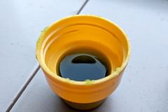 What is the best type of fertilizer for houseplants?