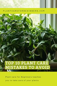 Top 10 Plant Care Mistakes to Avoid