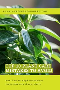 Top 10 Plant Care Mistakes to Avoid