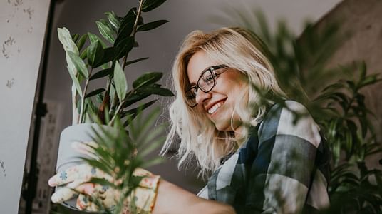 The basics of taking care of plants The basics of taking care of plants