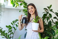 The 10 Healthiest Houseplants for Your Home