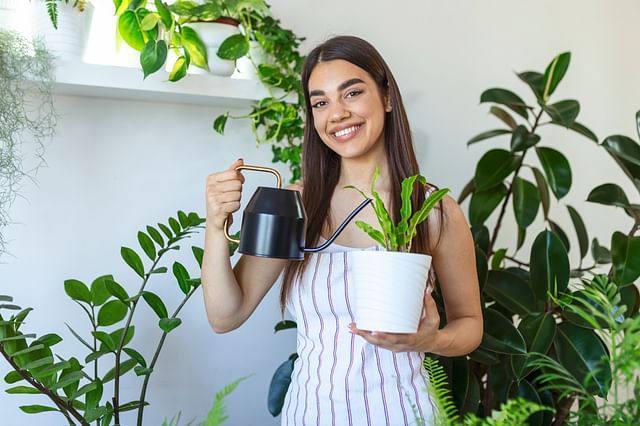 Happy plant owner