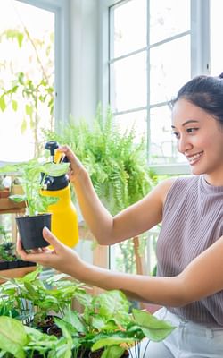 Houseplants 101: How to get a green thumb