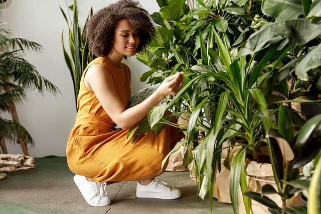 Happy plant owner