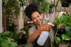 9 houseplants that are nearly impossible to kill