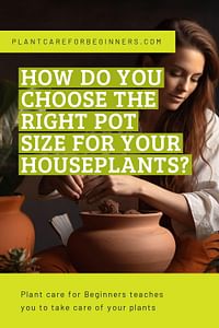 How do you choose the right pot size for your houseplants?