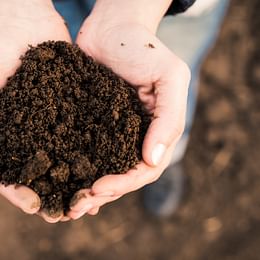 Indoor Plant Soil