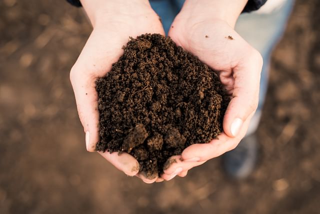 potting-soil-in-hand.jpg