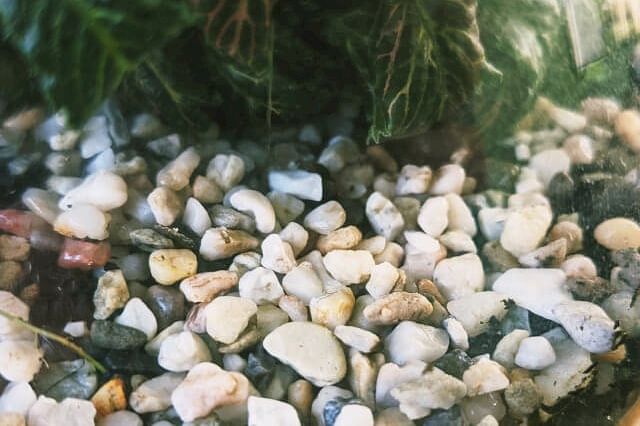 Rocks for drainage
