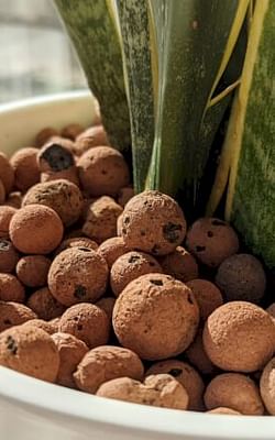 How to make your soil drain water quickly?