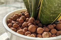 How to make your soil drain water quickly?