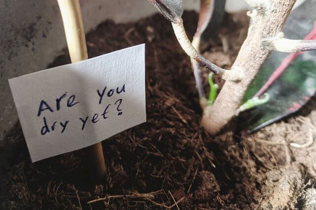 Sign saying are you dry yet