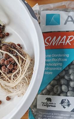 Growing your houseplants with Smart Gravel