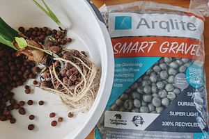 Growing your houseplants with Smart Gravel