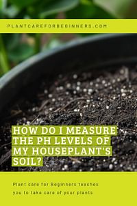 How do I measure the pH levels of my houseplant's soil?