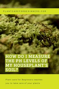 How do I measure the pH levels of my houseplant's soil?