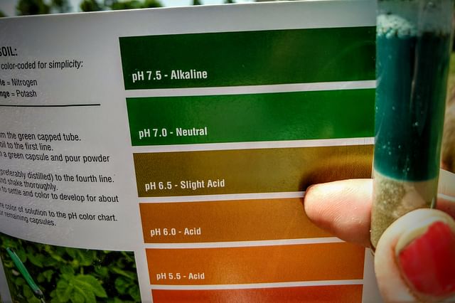 Soil pH level test