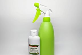 Dealing with pests on your plants