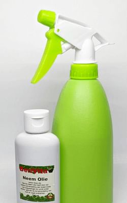 How to use neem oil for your houseplants