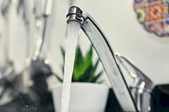 Can you use tap water to water your houseplants?