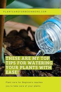 These are my top tips for watering your plants with ease!