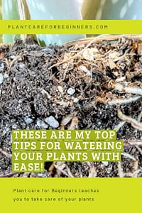 These are my top tips for watering your plants with ease!