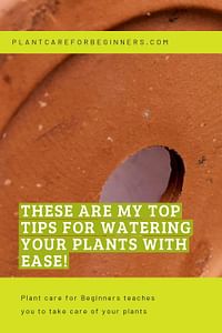 These are my top tips for watering your plants with ease!
