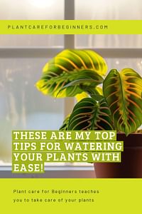 These are my top tips for watering your plants with ease!