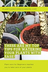 These are my top tips for watering your plants with ease!