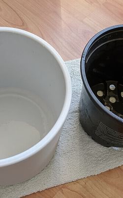 How to clean your pots for use with Leca