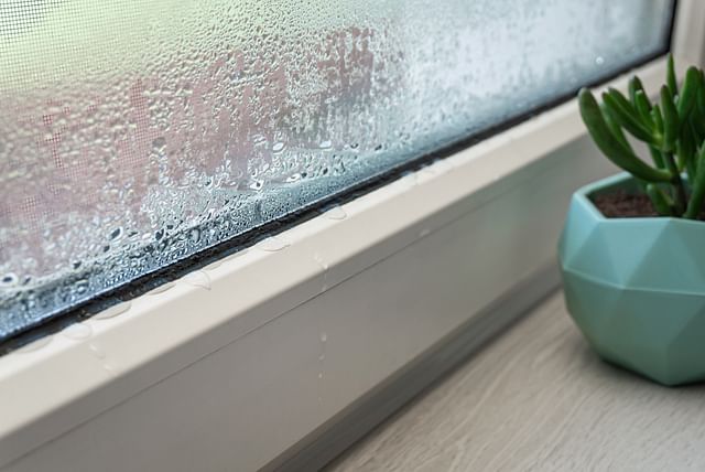 Water droplets on a window