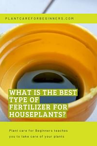 What is the best type of fertilizer for houseplants?