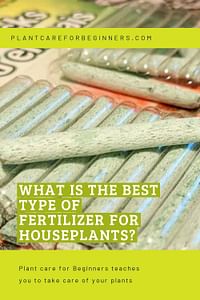 What is the best type of fertilizer for houseplants?