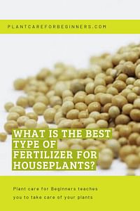 What is the best type of fertilizer for houseplants?