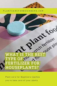 What is the best type of fertilizer for houseplants?