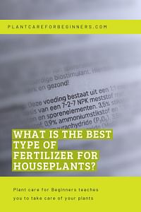 What is the best type of fertilizer for houseplants?