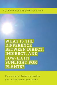 What is the difference between direct, indirect, and low-light sunlight for plants?