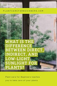 What is the difference between direct, indirect, and low-light sunlight for plants?