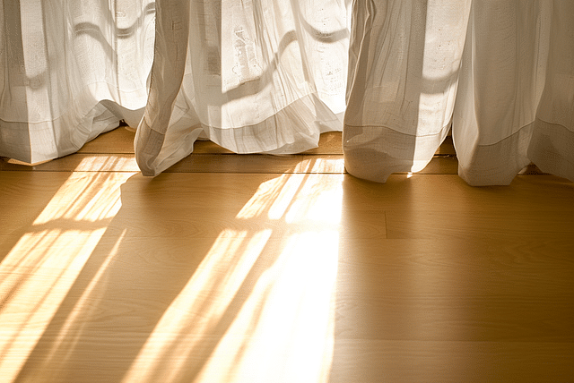 bright-indirect-sunlight-in-living-room.png