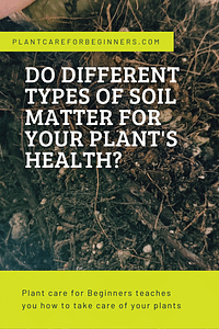 Do different types of soil matter for your plant's health?