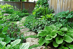 How to keep your garden from drying out in the summer