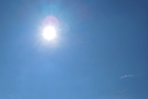 What is the difference between direct, indirect, and low-light sunlight for plants?