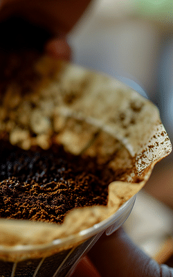 Which houseplants like coffee grounds?